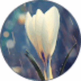 Jeanetta Bartnauskas